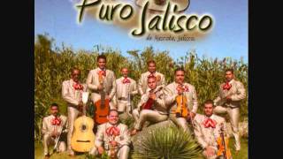 Mariachi Puro Jalisco Sueño de Amor [upl. by Snell]