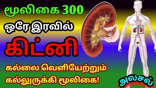 கல்லுருக்கிசர்க்கரை வேம்புசரக்கொத்தினிsarkkarai vembuScoparia dulcisஅலசல்Alasal [upl. by Atineb]