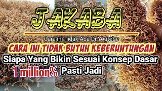 PAKAI JAKABA TANAMAN KERDIL JADI SUBUR❗ CARA MEMBUAT JAKABA DIJAMIN 1000 BERHASIL [upl. by Aylad959]