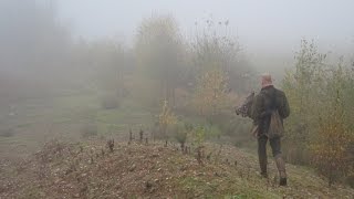 Falconry  Forgotten Footsteps [upl. by Laenej245]