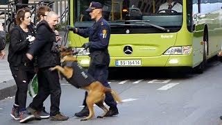 Police against anarchists in Oslo Norway [upl. by Aynuat]