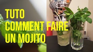 Comment faire un mojito maison  Le tuto en vidéo [upl. by Geoffrey]