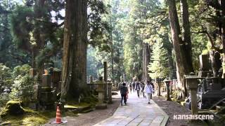 Adventures in Kansai Journey to Koyasan [upl. by Adelaida625]