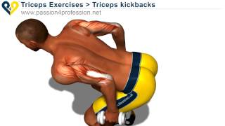 Ejercicios con pesas para brazos triceps [upl. by Heidy]