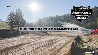 Mammoth Motocross 2023  Mini Bikes Edition [upl. by Gonzalez391]