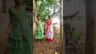 Lal gulapa phoolshortvideo odiya stutas [upl. by Aliehs685]