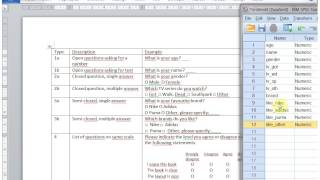 SPSS Data entry part 1 [upl. by Flynn577]