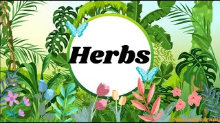 Learn Herbs  Herbs  Facts about Herbs  Perennial herbs  Biennial herbs  Annual herbs  Plants [upl. by Rednael524]