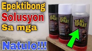 Seal Spray PH  Seal Spray Product Review and Testing  Mabisang Pantapal chitman [upl. by Ancilin]