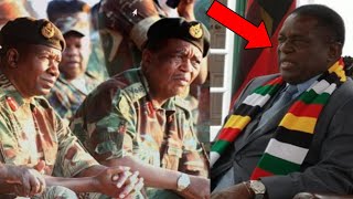 Breaking🥵Defence Ministry in trouble after kill ZanuPF Mnangagwa in an Army Advert Pashataa😳💔 [upl. by Buckler]