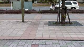 20110311 earthquake urayasu chiba Japan 東北地方太平洋沖地震 [upl. by Eberhard]