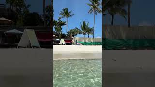 Chaweng beach Koh Samui nature beach relaxing travel inspiration [upl. by Ditmore]