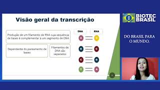 DNA Replicação Transcrição e Tradução do DNA Parte 4 [upl. by Nunes]