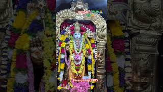 முருகன் துணை 🦚🦚⚜️⚜️🌟🌟 tamil 🙏🙏🙏murugan lordmurugantemple muruga song hindugod murugansongs [upl. by Hasty]