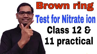 Brown ring test for Nitrate ion  class 12 amp 11  practical [upl. by Liamsi]