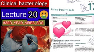 Special Bacteriology lectures7 Gram positive RODS Bacillus clostridum cornybacterium listeria [upl. by Hephzibah347]