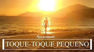 VLOG PRAIA  APRESENTANDO TOQUE  TOQUE PEQUENO  VIAGEM DA SEMANA [upl. by Brubaker79]