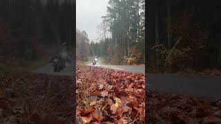 Zweden Sweden TET Trans European Trail BMW R125GSA Fall Authumn [upl. by Waverley]