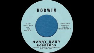 ROSEBUDS Hurry Baby 1962 [upl. by Hcurab]