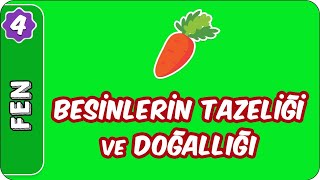 Besinlerin Tazeliği ve Doğallığı  4 Sınıf Fen evokul Kampı [upl. by Ferri]