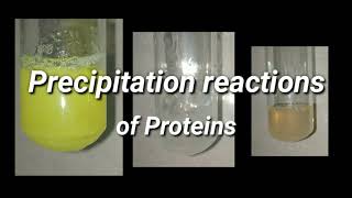 Precipitation Reactions of Proteins  Biochemistry [upl. by Nodnrb]