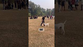 VNIT Ground song music hindisong viralvideo love bollywood [upl. by Eadith120]