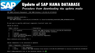 SAP Update of SAP HANA Database [upl. by Atteloj]