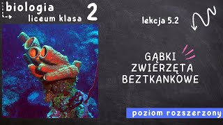 Biologia klasa 2 Lekcja 52  Gąbki  zwierzęta beztkankowe [upl. by Nwahsor]