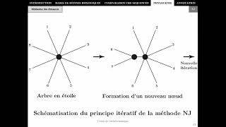 Bioinformatique  Chapitre 4  Phylogénie P2  Master Biotechnologie Alimentaire 2021 [upl. by Petronille]