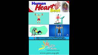 Human Heart beat I biology penacademy education respirationsystem [upl. by Jennilee]