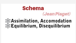 Piaget Concept of Schema Assimilation Accomodation Equilibrium Disequilibrium [upl. by Okika]