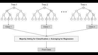 Random Forest Algorithm Methodology and Implementation [upl. by Man]