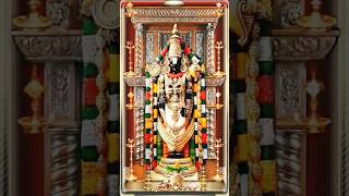 Namo Venkatesa🕉 namovenkatesa venkateswara tirupathi telugudevotionalsongs song music cover [upl. by Hamaso992]