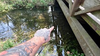 Removing Beaver Dam Under Bridge Flooding Bike Trail [upl. by Harbert116]