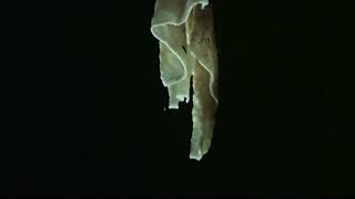 Whats the difference between stalactites and stalagmites [upl. by Ahtnams372]