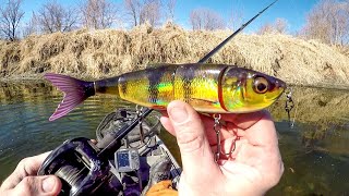 EPIC Day Fishing River BEASTS [upl. by Zeralda]