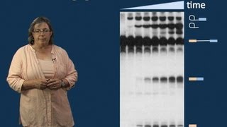 Melissa Moore U MassHHMI Part 2 Spliceosome Structure and Dynamics [upl. by Alistair629]