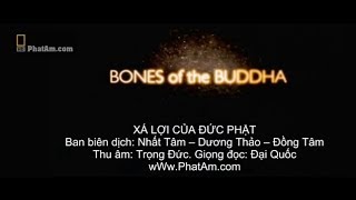 Phim về Xá Lợi của Đức Phật [upl. by Llerrom970]