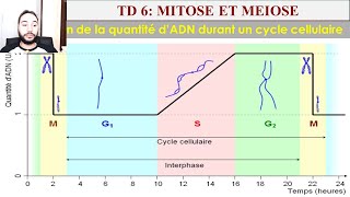 td 6 la méiose et la mitose svi et svtu fssm 20222023 [upl. by Vershen689]