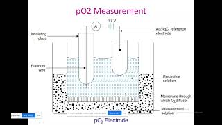 Medical ElectronicsPCO2 measurement Sudha MAMSE [upl. by Hobey]