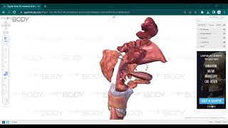 L9 ANATOMY Pharynx [upl. by Isabea]