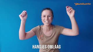 Gelukkig nieuwjaar  handjes omhoog handjes omlaag  Het Muziekkwartier [upl. by Alram813]