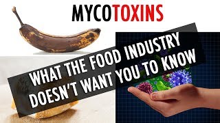 Mycotoxins The Mold the Food Industry Doesnt Want You to Know About [upl. by Nyret]