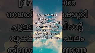 ഉൽപത്തി 217 Bible verse Malayalam  Part  45 1582thshorts BLUESEA [upl. by Solegnave871]