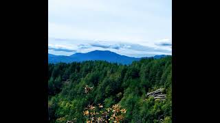 We continue to explore the park and admire the beauty of nature nature mountains bulgaria горы [upl. by Kirwin]