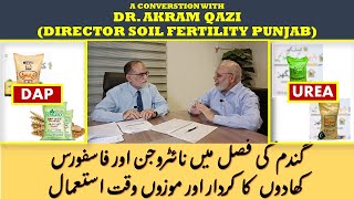 NITROGEN amp PHOSPHORUS FERTILIZERS IN WHEAT  DR AKRAM QAZI DIR SOIL FERTILITY PUNJAB  Part 2 [upl. by Oman115]