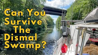 What You Need to Know About the Dismal Swamp [upl. by Asoj275]