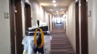 Full Hotel Tour BRAND NEW Hampton Inn amp Suites on Highway 6 in Missouri City TX [upl. by Enelav473]