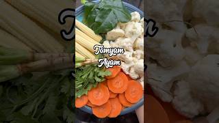 tomyam ayam [upl. by Havelock881]