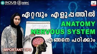 ANATOMY NERVOUS SYSTEM  Important tips [upl. by Phillis]